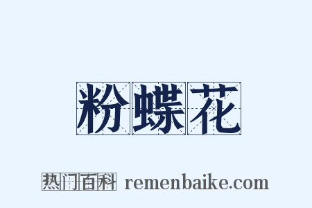 粉蝶花是什么意思的图片